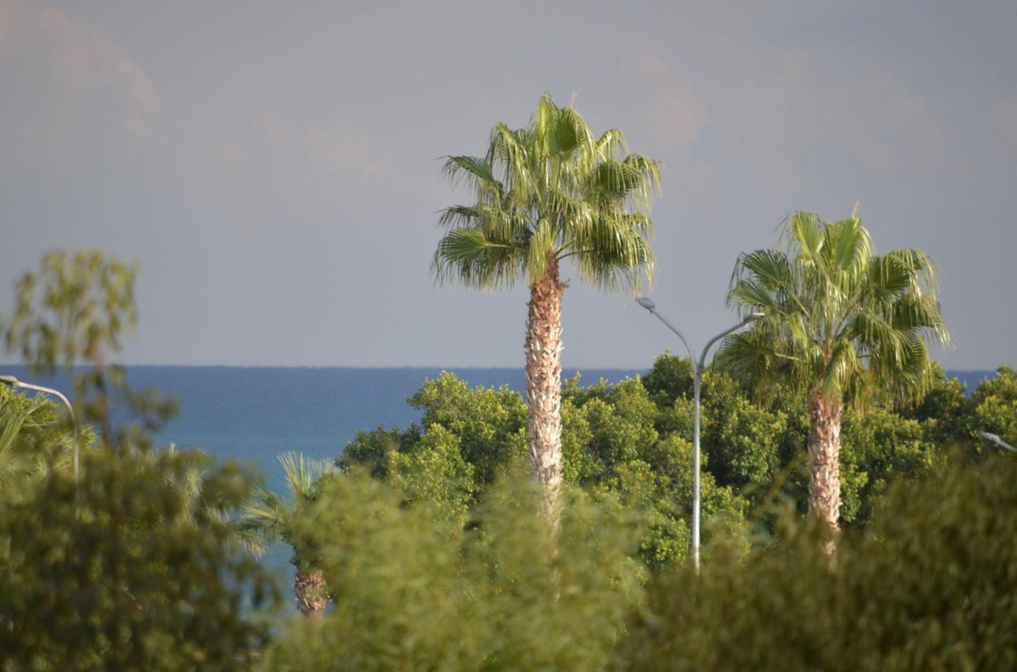 Modern Apartment Near Mckenzie Beach Larnaca Exteriör bild